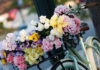 Send Flowers to Ukraine via GiftsforUkraine Delivery Service